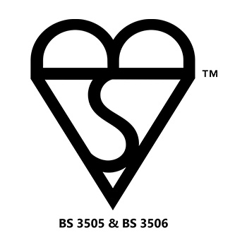 BS Logo